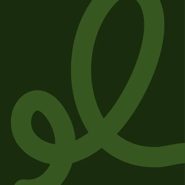 Abstract graphic for Freshman year