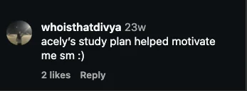 Instagram comment from whoisthatdivya: Acely study plan helped motivate me