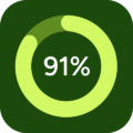 Progress circle at 91%